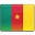 The flag of Cameroon Flag of Cameroon